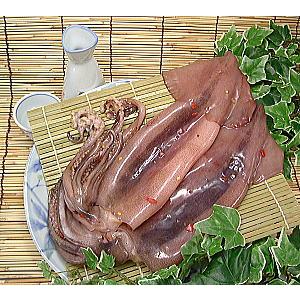 越前名産工房いか一夜干し 3杯入り スルメイカ 一夜干しです するめいか 干物 通販 イカ一夜干し 訳ありセール