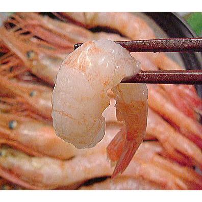 甘エビ 国産 福井県産 甘えび 500g 福井産 あまエビ 冷凍品 呼称は北国 赤海老 あまえび ホッコクアカエビ 甘海老 アマエビ 赤 エビ ナンバンエビ とも言う 001 越前名産工房 通販 Yahoo ショッピング