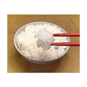 コシヒカリ 玄米 30kg 福井県産 新米 こしひかり 30キロ×1 福井