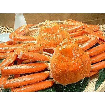 ボイル ズワイガニ 5kg 入 ずわいがに姿身 冷凍 ずわい蟹 通販 ズワイ蟹 冷凍 ズワイガニ ずわいかに ずわいカニ ズワイ蟹 ズワイカニ カニ鍋 かに鍋 蟹 鍋 025 越前名産工房 通販 Yahoo ショッピング