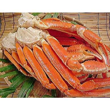 訳あり 品 ズワイガニ 肩 ずわいがに 肩 3kg入 ズワイ蟹 封鎖 沸騰させる ずわい 蟹足身 ズワイガニ 脚 蟹 沸騰させる かに 訳蟻 筋あいあり ワケアリ 魚介類、海産物-ズワイガニ