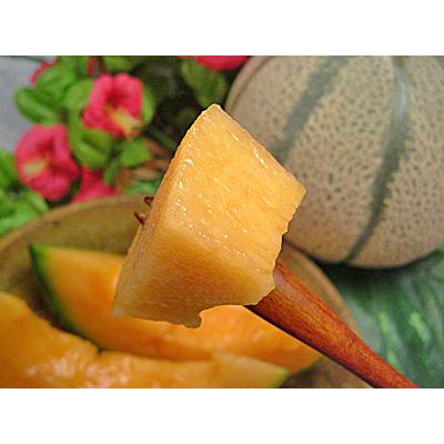 マルセイユメロン 福井県産 マルセイユ メロン１０個入り 