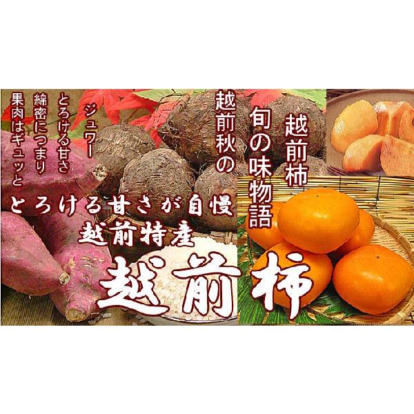 お試し品　越前柿　１ｋｇ　旬の味覚フルーツ｜meisankobo｜02