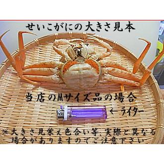 セイコガニ せいこかに 10杯 LLサイズ 各地域で呼称はセコガニ 香箱蟹 こっぺがに せこがに せこ蟹 メスガニ セコカニ こうばこがに 香箱ガニ 親ガニ セイコガニ せこがに メスガニ こうばこがに 親ガニ 　 メス