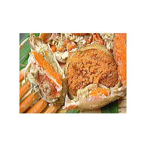 中古 越前ガニ 通販 福井 県 越前蟹 ずわい蟹 雄雌詰合ダイヤモンドセット（雄の越前かに５Ｌサイズ３杯と雌のセコガニＬサイズ１０杯）越前カニ 越前がに 越前かに 【AAA1670446540】(59670円)