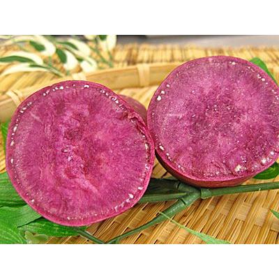 福井県産　紫色のサツマイモ ２ｋg　紫いも　紫芋　紫イモ｜meisankobo｜02