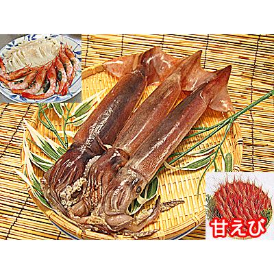 新作商品 するめいか ５杯 日本海直送 甘エビ ２５０ｇ セット 船上急速冷凍で鮮度抜群 生お刺身用に 新鮮冷凍スルメイカamp 甘えびセット 通販 Wantannas Go Id