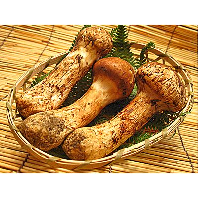 訳あり 傘は開きで傷アリ 松茸 中国産マツタケ 輸入 品 1kg入 まつたけ 