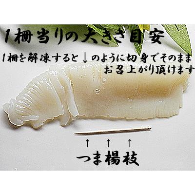 イカ 刺身 お造り いか するめいか 500g×2個 するめいか イカの刺身 を 