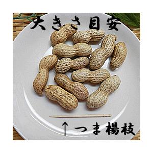 殻つき落花生 5袋入 国産 千葉産 殻 付き 落花生 ピーナッツ 千葉県産 国内産 日本産 落花生 殻付き 国産 からつき さや付き落花生 さやつき 005 越前名産工房 通販 Yahoo ショッピング