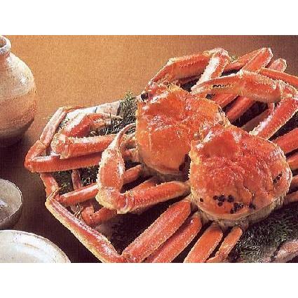 刺身 盛り合わせ A Dセット ５品入 冷凍品 (12〜15人前用が目安) お造り盛り合わせ 刺し身 セット +ずわいがに 5尾 ズワイガニ 姿 身入り 蟹 ズワイカニ セット