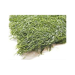 すがも 20袋入 福井産 越前海岸産 菅藻 国産 海草 日本産 国内産 スガモ 福井県産 海藻 菅藻