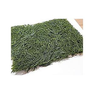 すがも 20袋入 福井産 越前海岸産 菅藻 国産 海草 日本産 国内産 スガモ 福井県産 海藻 菅藻