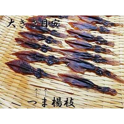 ほたるいか 素干し 25g×15袋入 無添加 無着色 ホタルイカ 乾し ほたるイカ ホタルいか 蛍いか煮干し 干物 蛍いか 姿干し 国産 日本産｜meisankobo｜02