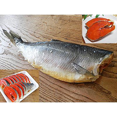 紅鮭 1尾入 北海道産 塩入 Mサイズ 塩 紅さけ 紅サケ 紅シャケ ベニサケ べにさけ べに鮭 国産 国内産 日本産 塩鮭 塩さけ 塩サケ ...