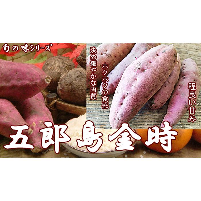 五郎島金時 サツマイモ 20kg 分入 訳あり品 石川県産 ごろうじま金時 さつま芋 薩摩芋 傷アリ 格安 形・サイズ指定不可の画像