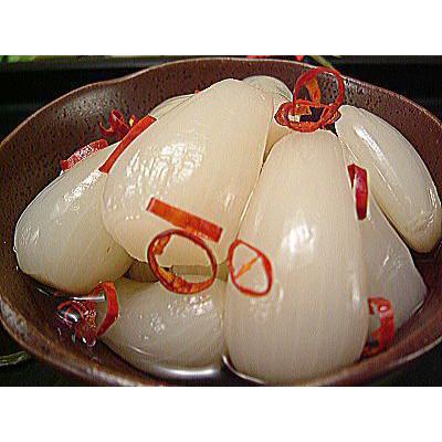 国産 福井県産ラッキョウ 土付きらっきょう １ｋg 1年堀 土らっきょう らっきょ 生らっきょう 泥付き ドロ付 花ラッキョ 福井産 生 ラッキョ 日本産 国内産 Utirakkyou1nen1kg 越前名産工房 通販 Yahoo ショッピング