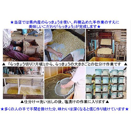 国産 福井県産ラッキョウ 土付きらっきょう １ｋg 1年堀 土らっきょう らっきょ 生らっきょう 泥付き ドロ付 花ラッキョ 福井産 生 ラッキョ 日本産 国内産 Utirakkyou1nen1kg 越前名産工房 通販 Yahoo ショッピング