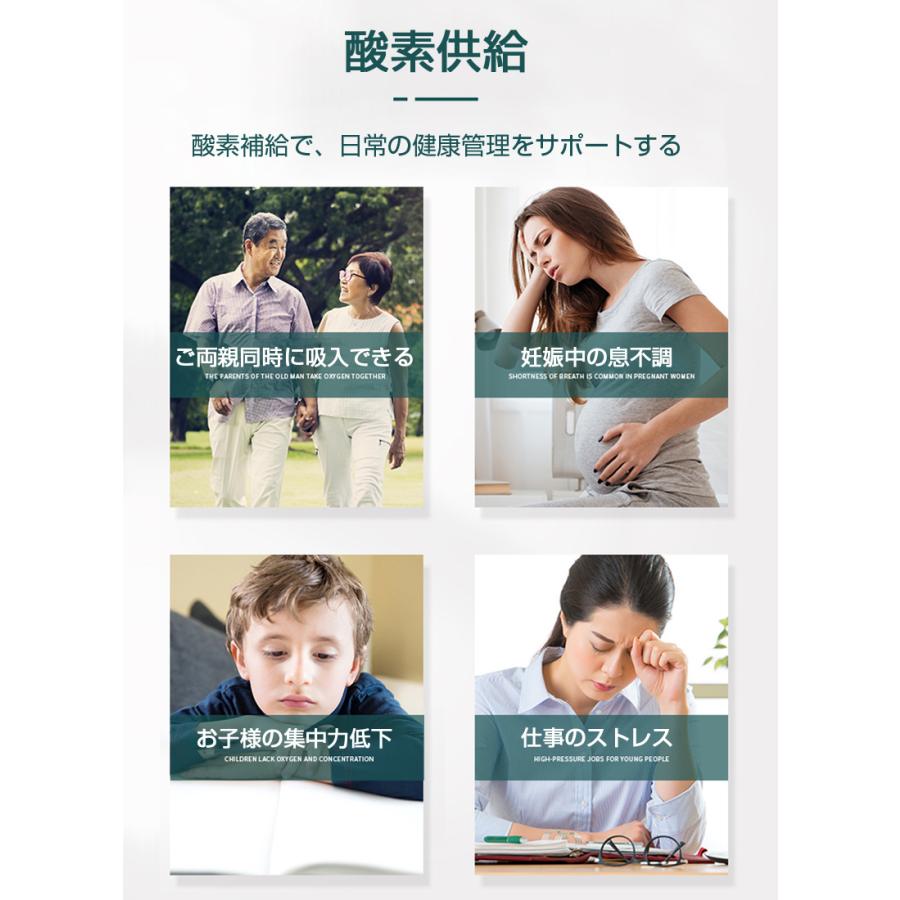 明誠 酸素濃縮器 酸素発生器 家庭用 5L大流量 調節可 93％±3％高濃度