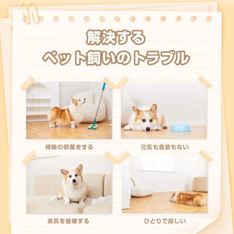 感謝価格 ペットおもちゃ ペット用品 犬用おもちゃ 噛む ノーズワーク にんじん畑 知育 餌隠し 家の破壊防止対策 丈夫 高品質素材 ぬいぐるみ Ppコットン詰め物 にんじん3 580円 Whitesforracialequity Org