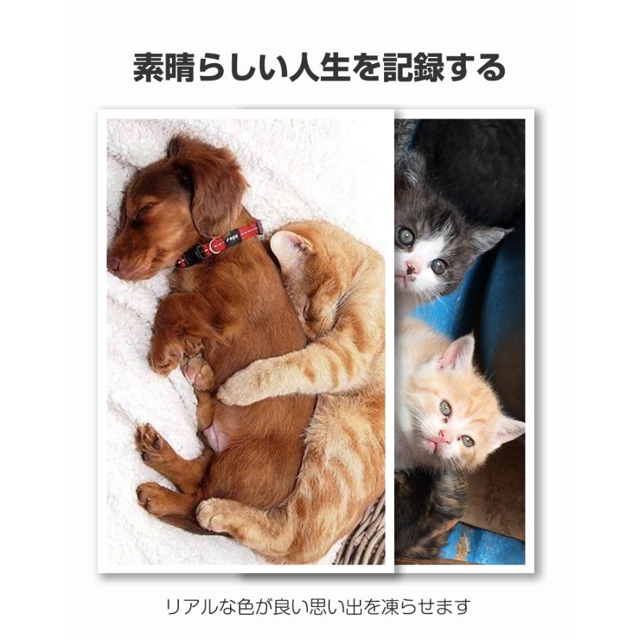 写真添付用 Z ADVENTURE F2 | 株式会社フタバ