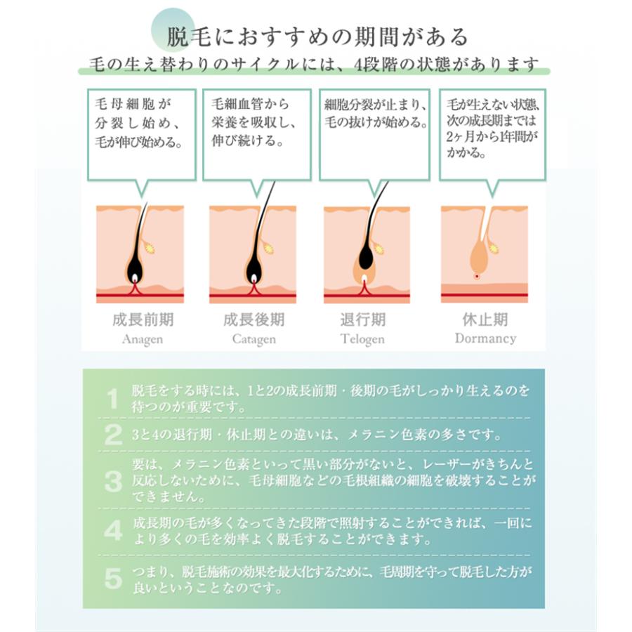 IPL光脱毛器 顔 髭 ワキ 腕 足 背中 ビキニライン対応 全身脱毛 美肌 スキンケア 男女兼用 自宅 光エステ 全身ムダ毛処理 90日保証【PL保険加入済み製品・安心】 | 明誠 | 15