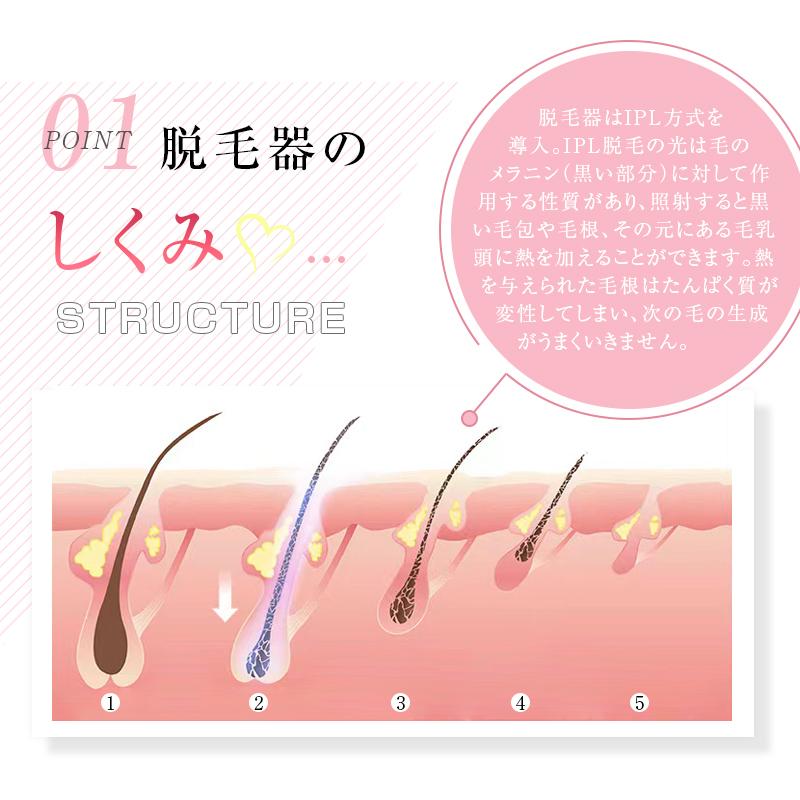 明誠 IPL光脱毛器 フラッシュ 家庭用脱毛器 無痛脱毛 5段階強度 明誠 IPL光脱毛器 フラッシュ 家庭用脱毛器 無痛脱毛 5段階強度