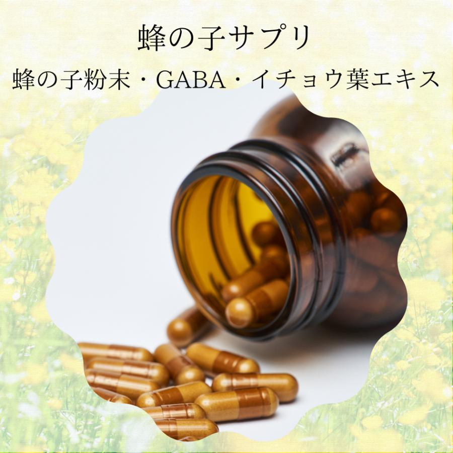 蜂の子粉末サプリ　蜂朗−hachirou−　イチョウ葉GABA配合　120粒｜meiseiyakuhin｜02