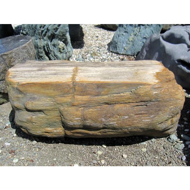 木化石 庭石 珪化木景石