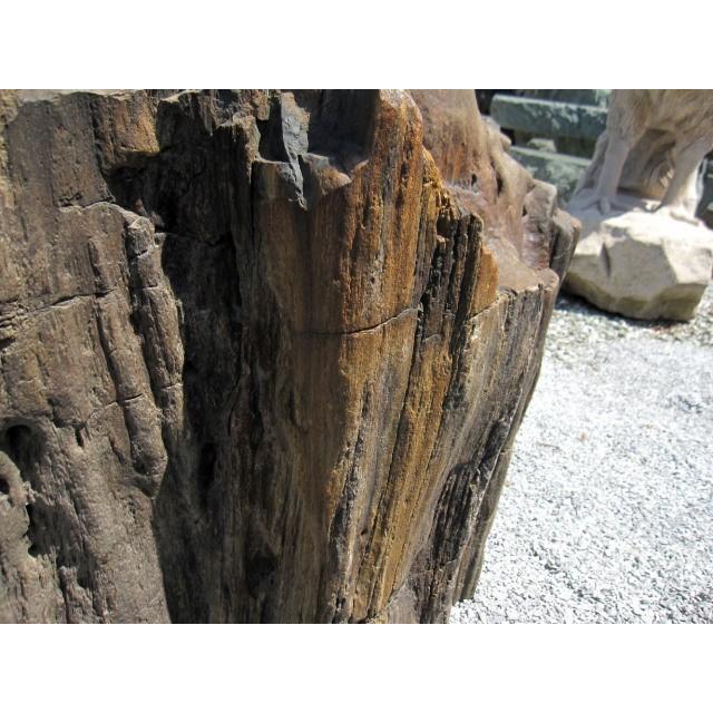 つくばい 手水鉢 水鉢 大きい 木化石 珪化木 巨大 特大 大型 豪華 庭石