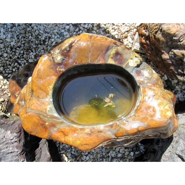 つくばい 珪化木 木化石 手水鉢 水鉢 大きい 大型 豪華 庭石 天然石