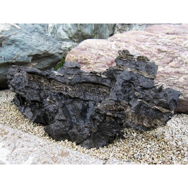 《送料込》 太湖石 庭石 天然石 景石 銘石 【ZYX1561266455】(55770円)