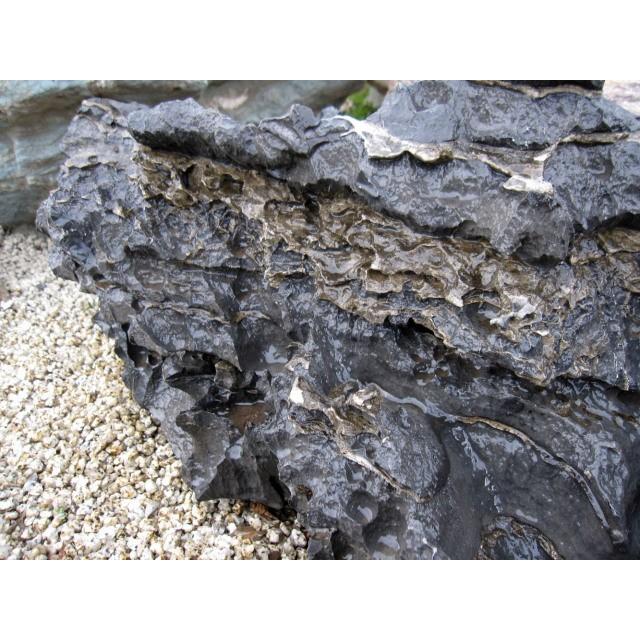 《送料込》 太湖石 庭石 天然石 景石 銘石 【ZYX1561266455】(55770円)