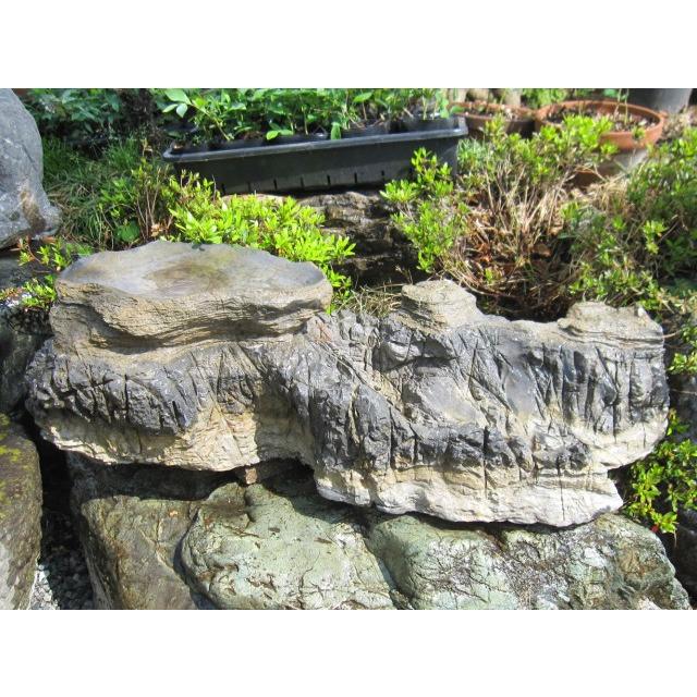 庭石 天然石 太湖石 太湖石 景石 銘石 N Ni096 天然石 銘石 庭