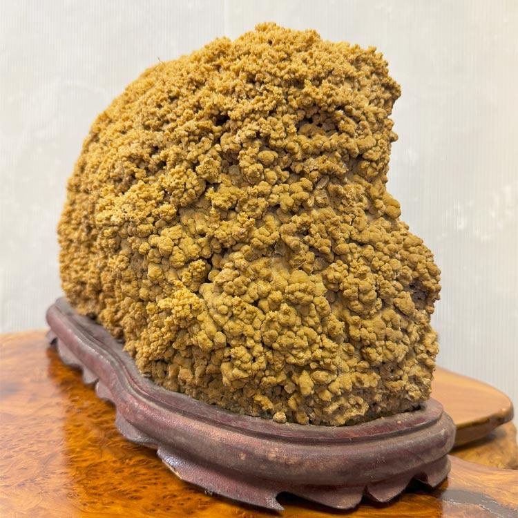大自然が作り出した唯一無二の神秘な石 鍾乳石 【39】 高さ約25cm 盆石 台付き 天然石 鑑賞石 飾り石 自然石 希少 鍾乳洞 景石 stalactiteの画像