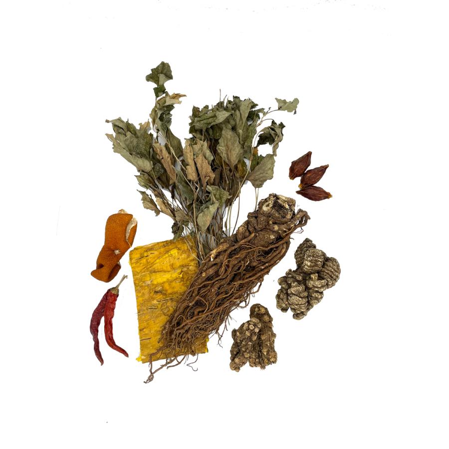 医薬部外品］薬草入浴剤 天真 (てんしん) 30g×3包【2袋セット】 : 順