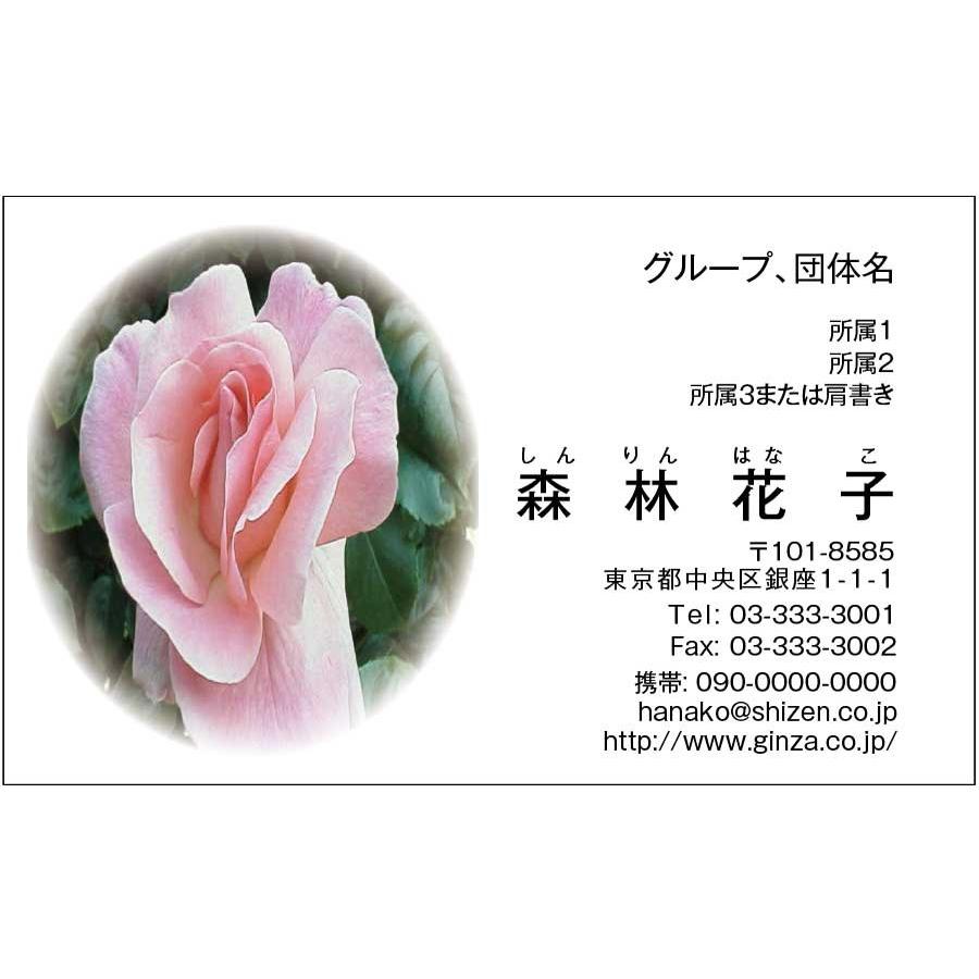 名刺印刷50枚(名刺作成) 花 バラ柄 薔薇(送料無料ゆうメール便) :flower1001:名刺印刷のツバキ - 通販 - Yahoo!ショッピング 名刺印刷50枚(名刺作成) 花 バラ柄 薔薇(送料無料ゆうメール便) :flower1001:名刺印刷のツバキ - 通販 - Yahoo!ショッピング