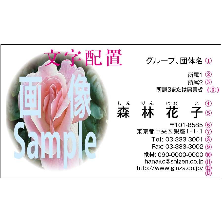 名刺印刷50枚(名刺作成) 花 バラ柄 薔薇(送料無料ゆうメール便) :flower1001:名刺印刷のツバキ - 通販 - Yahoo!ショッピング 名刺印刷50枚(名刺作成) 花 バラ柄 薔薇(送料無料ゆうメール便) :flower1001:名刺印刷のツバキ - 通販 - Yahoo!ショッピング