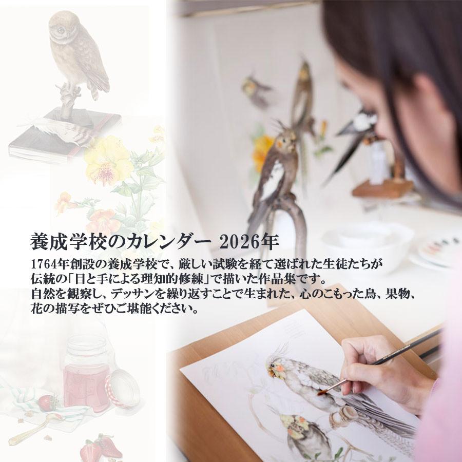 マイセン カレンダー(2026年) 壁掛け 約44×33cm 「国立マイセン磁器