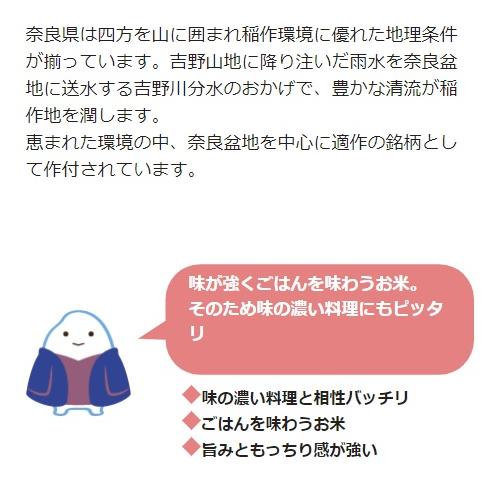 ヒノヒカリ 米 10kg 奈良県産 明日香 お米 10キロ 令和6年産