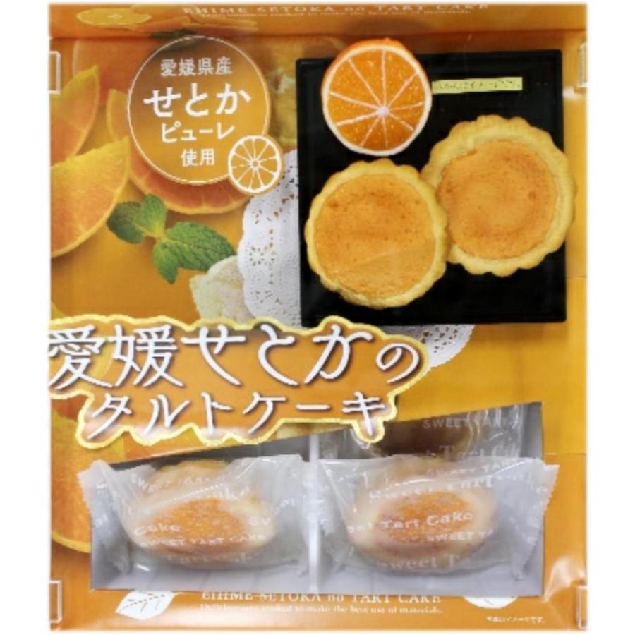 愛媛松山土産 愛媛せとかのタルトケーキ 名所堂 通販 Yahoo ショッピング