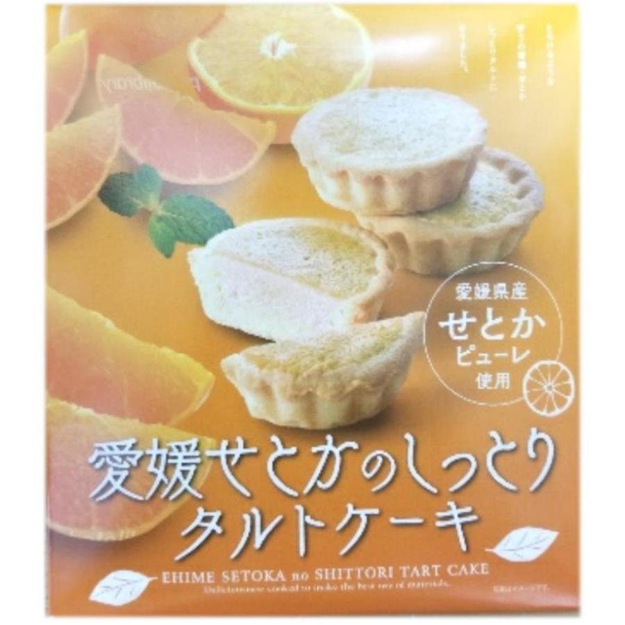 愛媛松山土産 愛媛せとかのタルトケーキ 名所堂 通販 Yahoo ショッピング