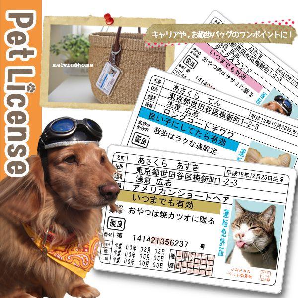 オーダーメイド☆ニャンコ免許証【キーホルダータイプ】 ウチの子だけ