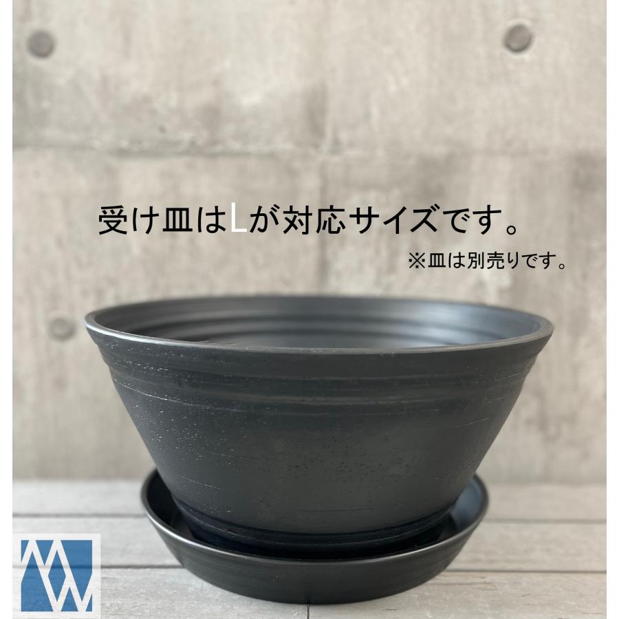 植木鉢 プラ鉢 セラアート 平鉢 33号 : MEIWACO Yahoo!ショップ 植木鉢 プラ鉢 セラアート 平鉢 33号 : MEIWACO Yahoo!ショップ
