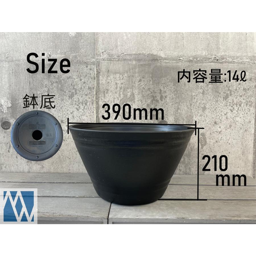 文山　植木鉢 産地直送 白鳥花 Mサイズ 鉢色 若草（受け皿セット）／山形