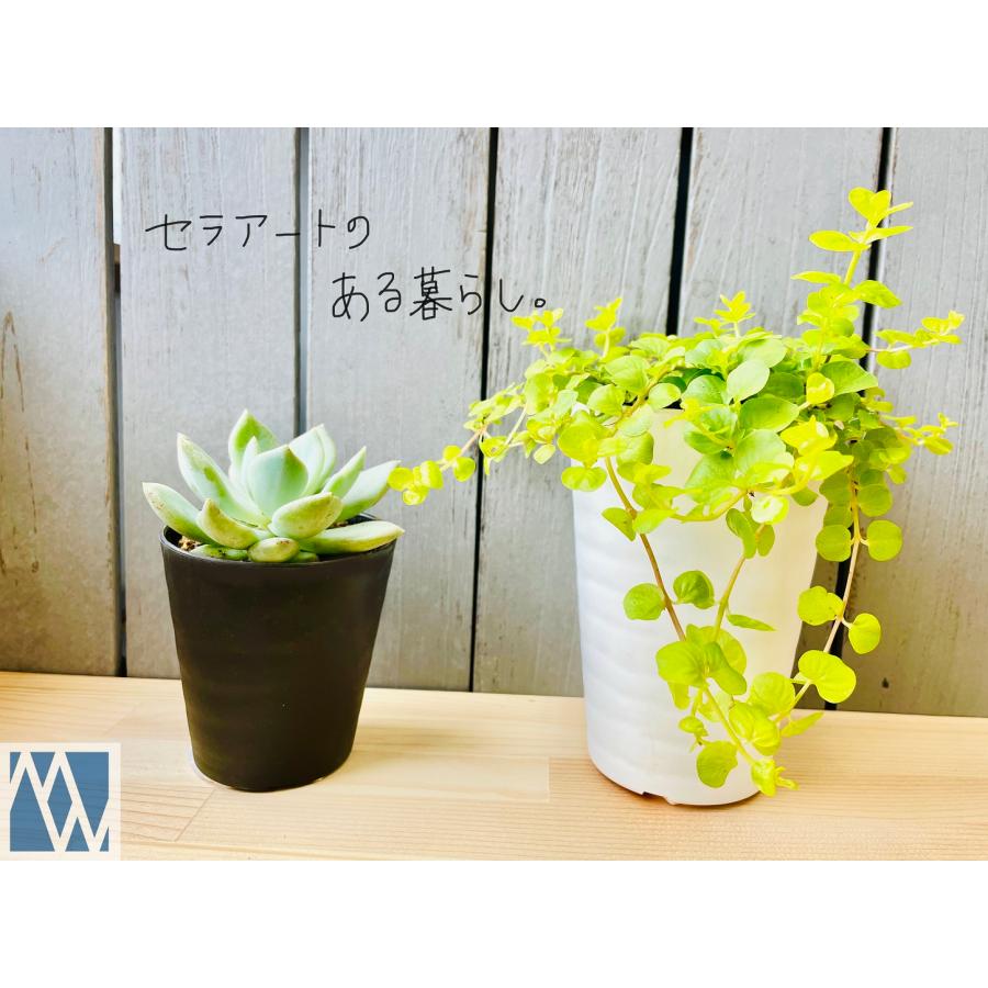 植木鉢 プラ鉢 セラアート 長鉢 4寸 5鉢セット 色アソート可 植木鉢 プラ鉢 セラアート 長鉢 4寸 5鉢セット 色アソート可