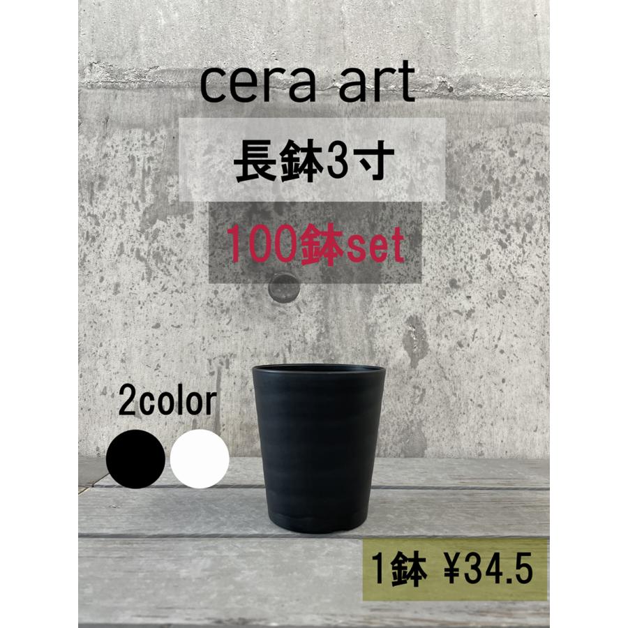 植木鉢 3号 100個セット 多肉植物 サボテン 実生 育苗 生産用 業務用