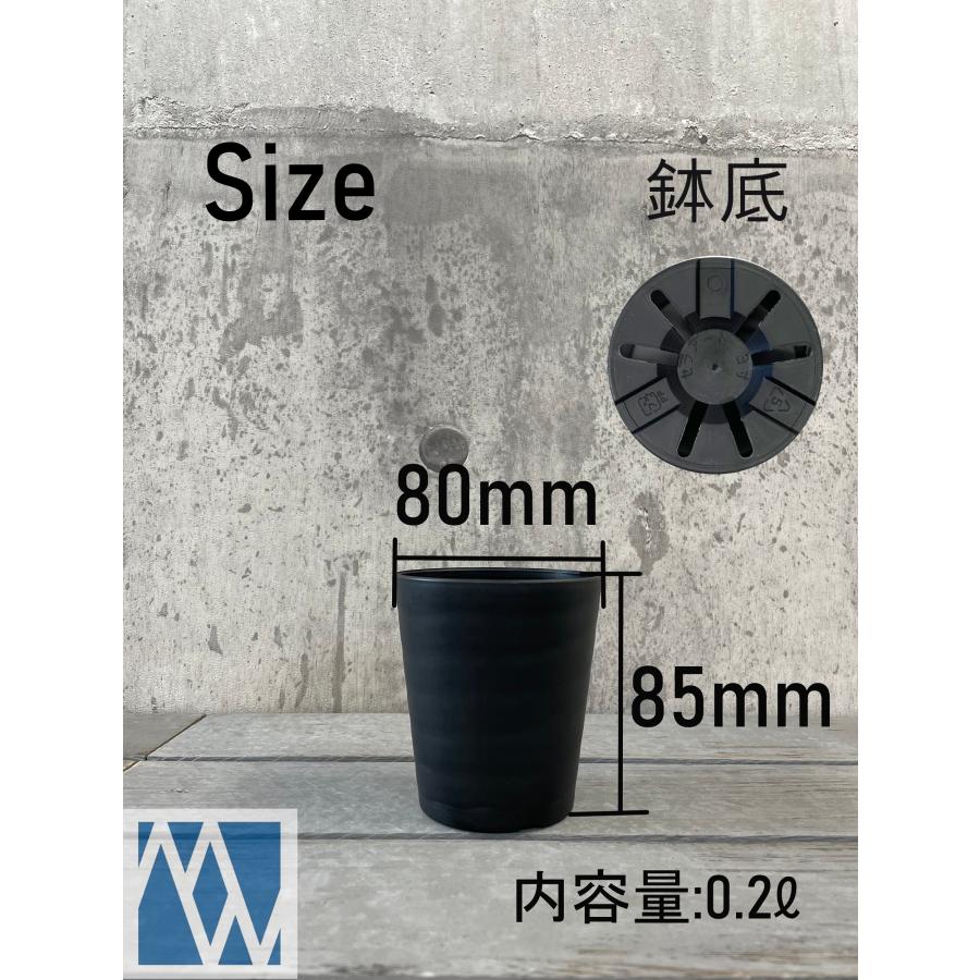植木鉢 プラ鉢 セラアート 長鉢 3寸 50鉢セット : MEIWACO Yahoo