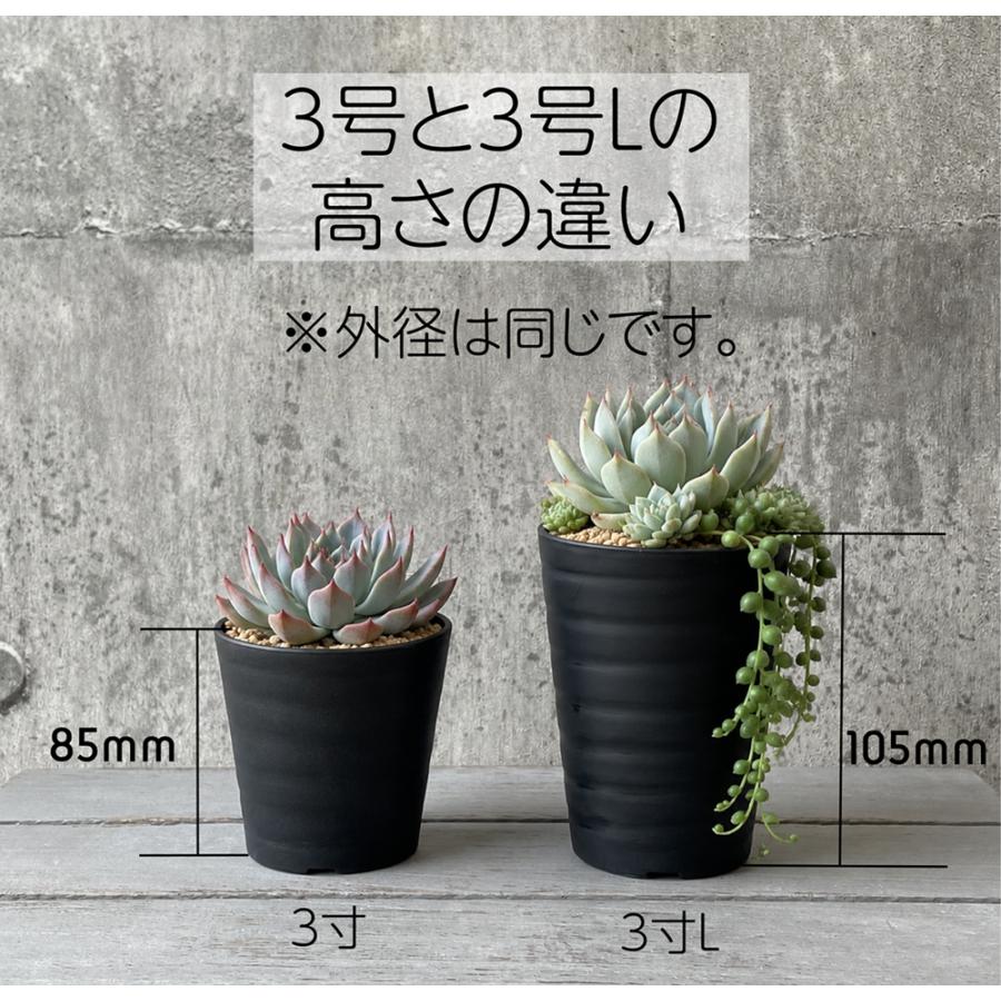 植木鉢 3号 10個セット 多肉植物 サボテン ミニ観葉植物 実生 育苗