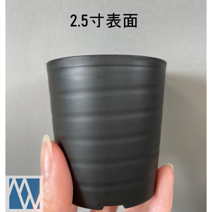 植木鉢 プラ鉢 セラアート 長鉢 2.5寸 100鉢セット : MEIWACO